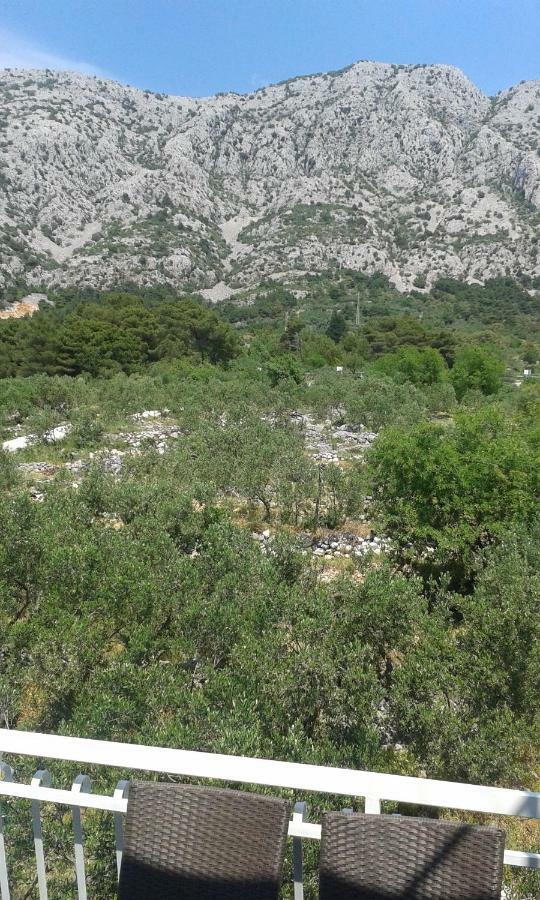 Apartment Villa Bajna Živogošće Dış mekan fotoğraf