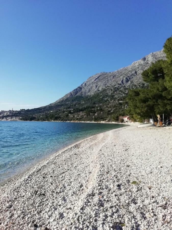Apartment Villa Bajna Živogošće Dış mekan fotoğraf