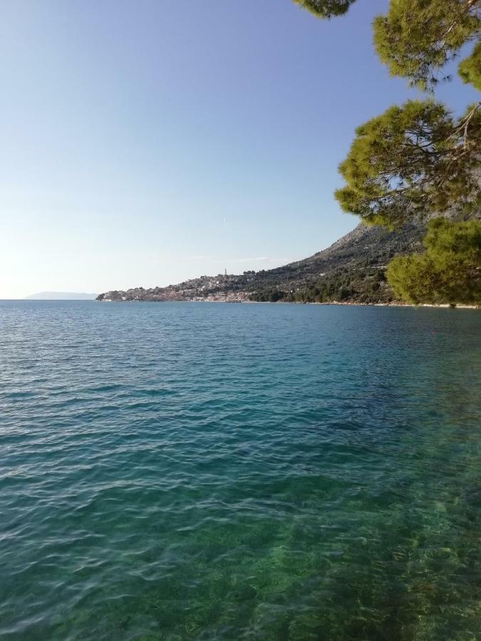 Apartment Villa Bajna Živogošće Dış mekan fotoğraf